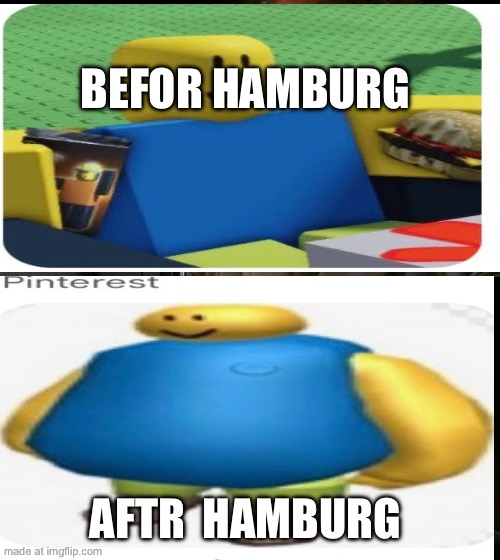 BEFOR HAMBURG; AFTR  HAMBURG | made w/ Imgflip meme maker
