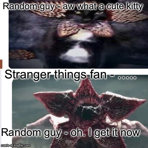 Random guy - aw what a cute kitty; Stranger things fan - ….. Random guy - oh. I get it now | made w/ Imgflip meme maker