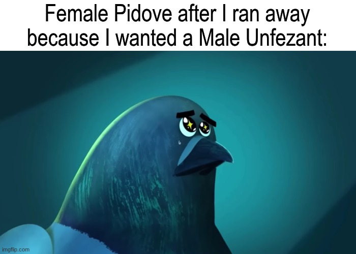 No hard feelings | Female Pidove after I ran away because I wanted a Male Unfezant: | image tagged in memes,funny,pokemon,gaming | made w/ Imgflip meme maker
