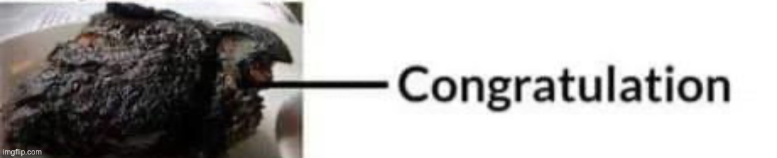 congratulation steak Blank Meme Template