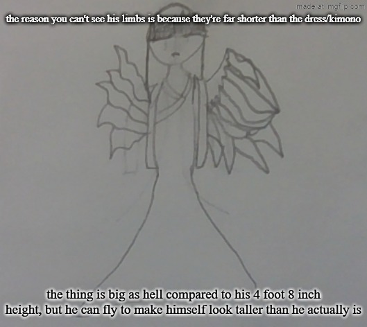 that's why it doesn't look like it's dragging | the reason you can't see his limbs is because they're far shorter than the dress/kimono; the thing is big as hell compared to his 4 foot 8 inch height, but he can fly to make himself look taller than he actually is | image tagged in touhou dragnoc drawn by dragnoc | made w/ Imgflip meme maker
