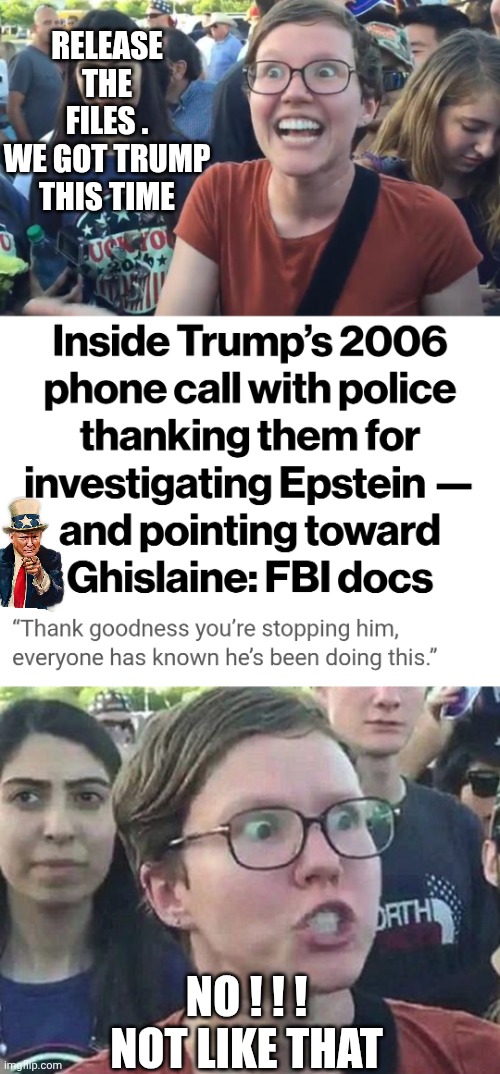 Files Released | RELEASE THE FILES .
WE GOT TRUMP THIS TIME; NO ! ! !
NOT LIKE THAT | image tagged in leftists,liberals,democrats,hypocrites,media,epstein | made w/ Imgflip meme maker