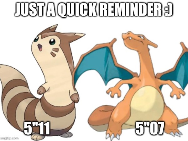 Furret is canonically taller than most strong Pokemon | JUST A QUICK REMINDER :); 5"11                               5"07 | image tagged in funny,pokemon,memes,reality check | made w/ Imgflip meme maker