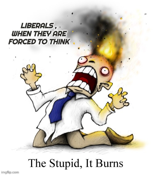 LIBERALS , WHEN THEY ARE FORCED TO THINK | made w/ Imgflip meme maker