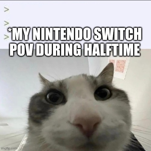 *MY NINTENDO SWITCH POV DURING HALFTIME | image tagged in cat looks inside | made w/ Imgflip meme maker