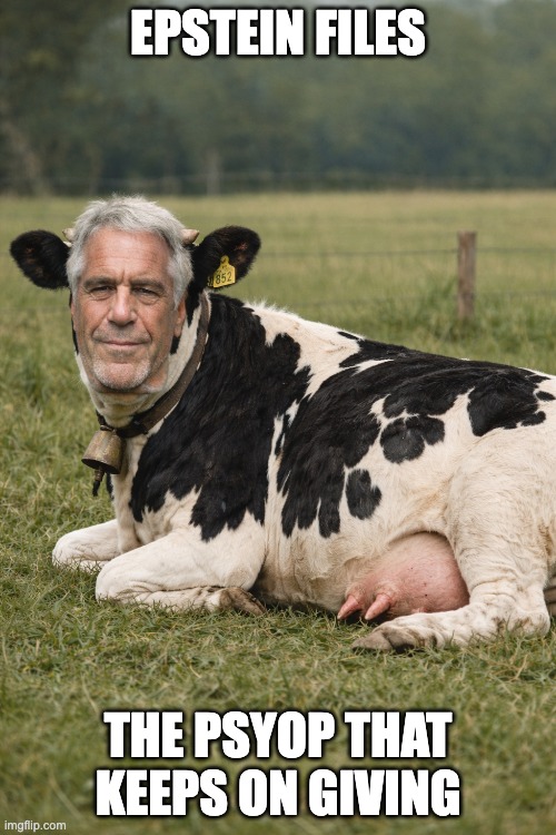 the psyop that keeps on giving | EPSTEIN FILES; THE PSYOP THAT KEEPS ON GIVING | image tagged in epstein files,epstein hoax,psyop | made w/ Imgflip meme maker