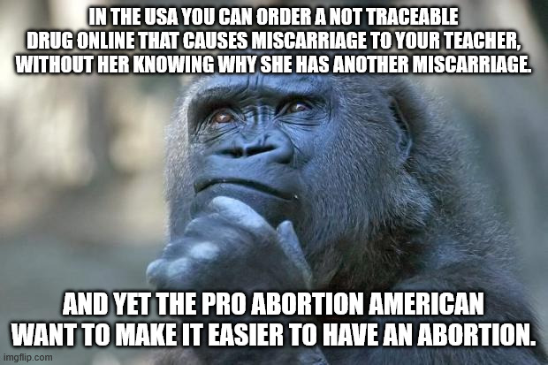 You will not get an abortion easier in any social healthcare system than a DIY drug | IN THE USA YOU CAN ORDER A NOT TRACEABLE DRUG ONLINE THAT CAUSES MISCARRIAGE TO YOUR TEACHER, WITHOUT HER KNOWING WHY SHE HAS ANOTHER MISCARRIAGE. AND YET THE PRO ABORTION AMERICAN WANT TO MAKE IT EASIER TO HAVE AN ABORTION. | image tagged in that is the question,diy,abortion | made w/ Imgflip meme maker