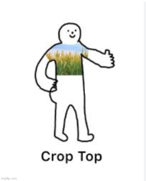 crop top... | made w/ Imgflip meme maker