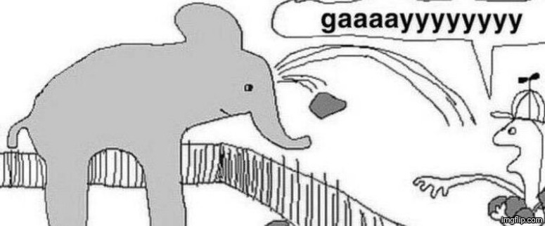 gaaaayyyyyyyy | image tagged in gaaaayyyyyyyy | made w/ Imgflip meme maker