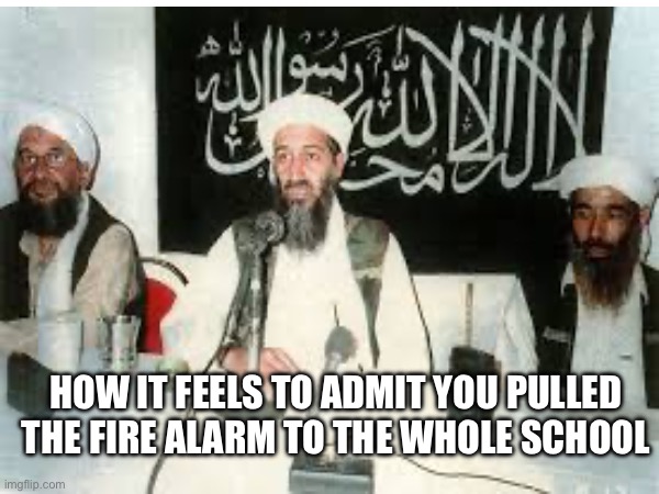 That one troublemaker was always like | HOW IT FEELS TO ADMIT YOU PULLED THE FIRE ALARM TO THE WHOLE SCHOOL | image tagged in memes,school,fire alarm | made w/ Imgflip meme maker