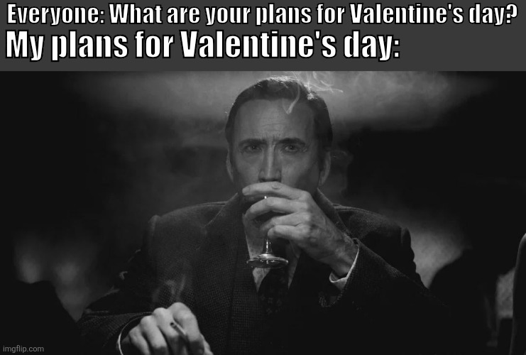 I will be in the company of a good "friend" | My plans for Valentine's day:; Everyone: What are your plans for Valentine's day? | image tagged in spider-verse meme | made w/ Imgflip meme maker