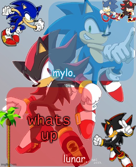 shared sonic and shadow temp | whats up | image tagged in shared sonic and shadow temp | made w/ Imgflip meme maker