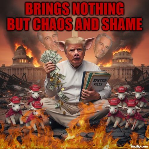Trump's Chaos | BRINGS NOTHING BUT CHAOS AND SHAME | image tagged in trump's chaos,jeffrey epstein,national debt,debt,shame | made w/ Imgflip meme maker