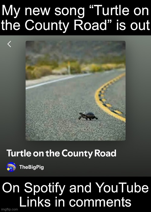 NEW SONG IS OUT | My new song “Turtle on
the County Road” is out; On Spotify and YouTube
Links in comments | made w/ Imgflip meme maker