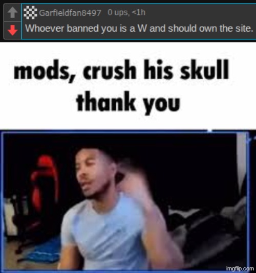 Didn't delete the comment fast enough. Get em', Yellow Jackets. | image tagged in mods crush his skull thank you | made w/ Imgflip meme maker