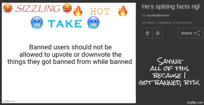 Anyways, I'd like to thank you all so much for viewing my post. WHEN I SAY BUM... | Saying all of this because I got banned, btw. | made w/ Imgflip meme maker