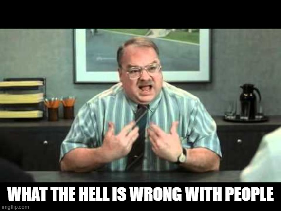 WHAT THE HELL IS WRONG WITH PEOPLE | image tagged in what the hell is wrong with you people | made w/ Imgflip meme maker