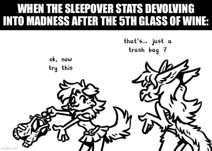 Men will (probably) never understand | WHEN THE SLEEPOVER STATS DEVOLVING INTO MADNESS AFTER THE 5TH GLASS OF WINE: | image tagged in sleepover,wine,dress up,furry,dog girl,cute | made w/ Imgflip meme maker