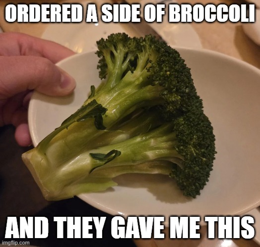 Head of Broccoli | ORDERED A SIDE OF BROCCOLI; AND THEY GAVE ME THIS | image tagged in you had one job | made w/ Imgflip meme maker