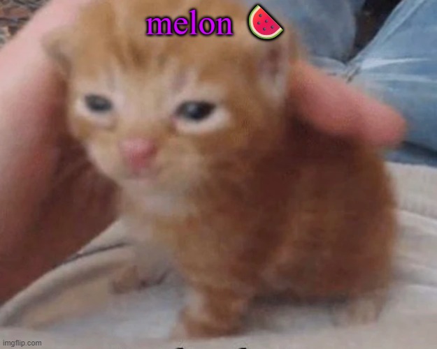 Herbert | melon 🍉 | image tagged in herbert | made w/ Imgflip meme maker