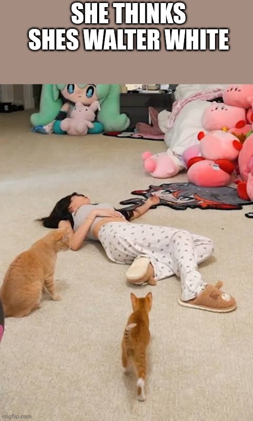 Emiru | SHE THINKS SHES WALTER WHITE | image tagged in emiru | made w/ Imgflip meme maker