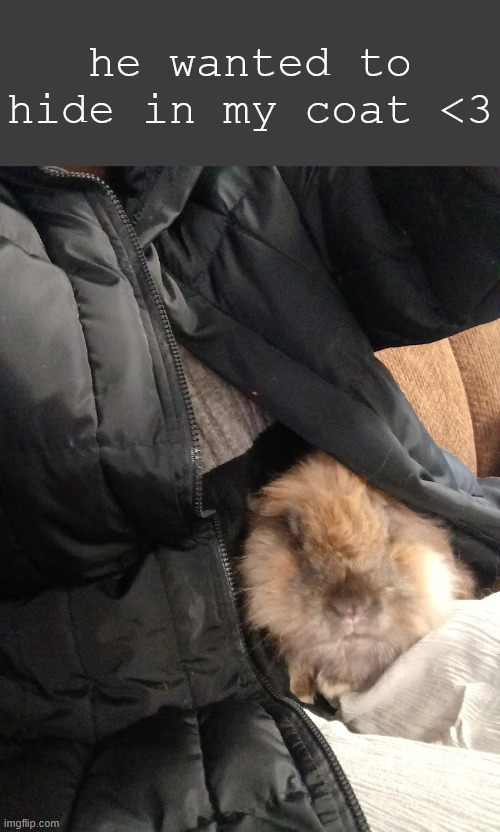 he wanted to hide in my coat <3 | made w/ Imgflip meme maker