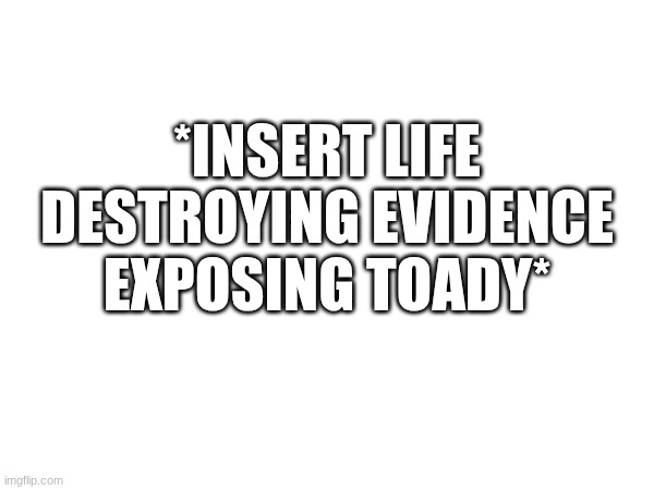 and somehow she'll still be here | *INSERT LIFE DESTROYING EVIDENCE EXPOSING TOADY* | made w/ Imgflip meme maker