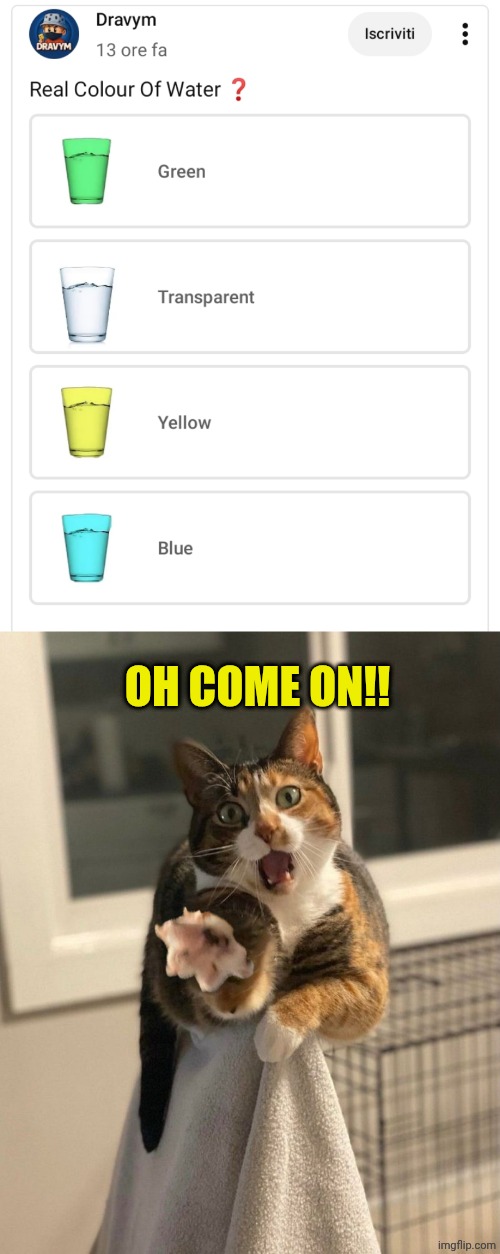 OH COME ON!! | image tagged in oh come on cat | made w/ Imgflip meme maker