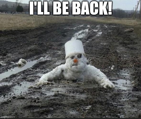 I'll Be Back! | I'LL BE BACK! | image tagged in chrisjoines1 | made w/ Imgflip meme maker