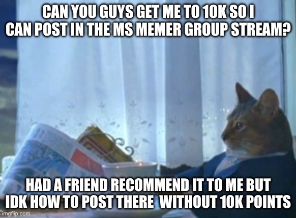 I Should Buy A Boat Cat Meme | CAN YOU GUYS GET ME TO 10K SO I CAN POST IN THE MS MEMER GROUP STREAM? HAD A FRIEND RECOMMEND IT TO ME BUT IDK HOW TO POST THERE  WITHOUT 10K POINTS | image tagged in memes,i should buy a boat cat | made w/ Imgflip meme maker