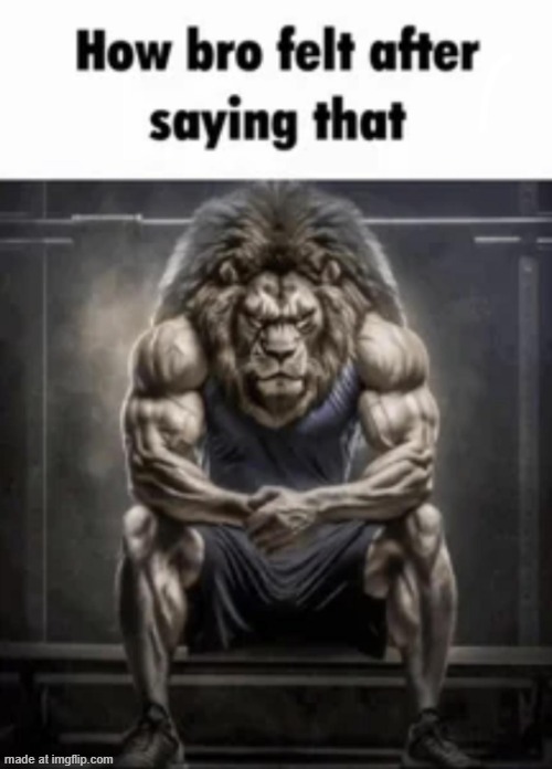 how bro felt after saying that | image tagged in how bro felt after saying that | made w/ Imgflip meme maker