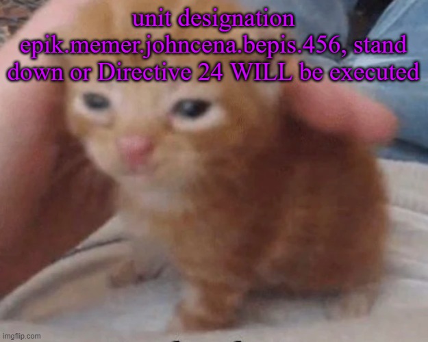 Herbert | unit designation epik.memer.johncena.bepis.456, stand down or Directive 24 WILL be executed | image tagged in herbert | made w/ Imgflip meme maker