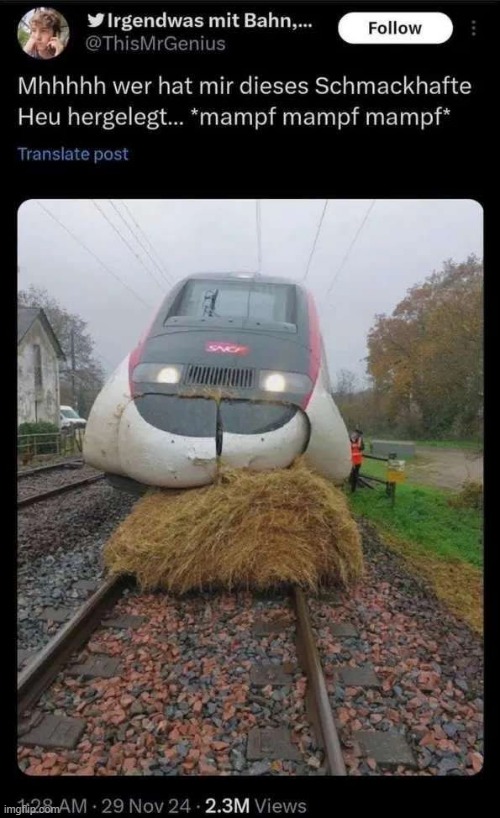 i have no idea what this says but it sounds funny | made w/ Imgflip meme maker