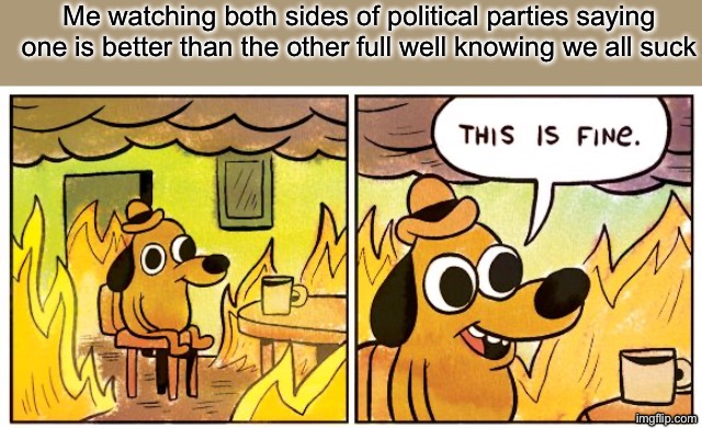 This Is Fine | Me watching both sides of political parties saying one is better than the other full well knowing we all suck | image tagged in memes,this is fine | made w/ Imgflip meme maker