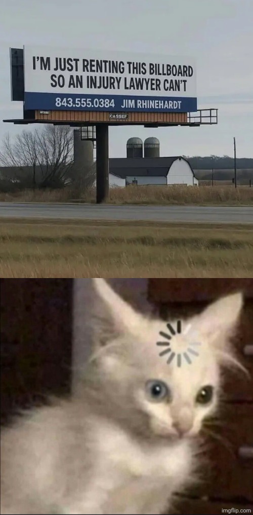 An injury lawyer can't | image tagged in cat buffer,billboard,lawyer,memes,renting,you had one job | made w/ Imgflip meme maker