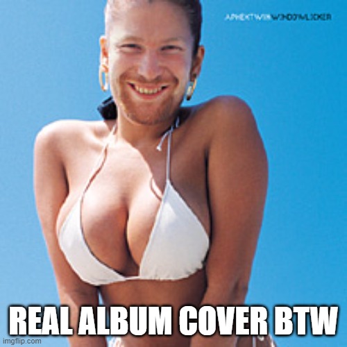 windowlicker | REAL ALBUM COVER BTW | image tagged in bad album art | made w/ Imgflip meme maker
