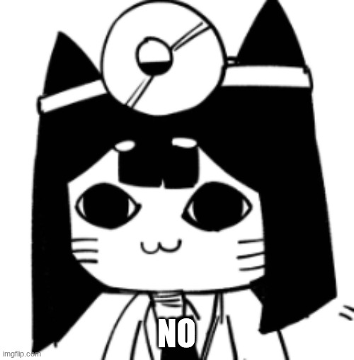 NO | image tagged in cat eyes | made w/ Imgflip meme maker