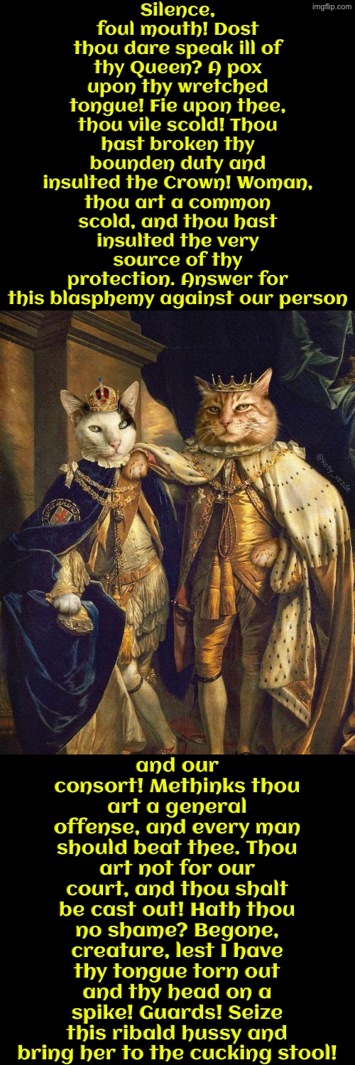 Thou Hast Insulted Thy Protection | Silence, foul mouth! Dost thou dare speak ill of thy Queen? A pox upon thy wretched tongue! Fie upon thee, thou vile scold! Thou hast broken thy bounden duty and insulted the Crown! Woman, thou art a common scold, and thou hast insulted the very source of thy protection. Answer for this blasphemy against our person; and our consort! Methinks thou art a general offense, and every man should beat thee. Thou art not for our court, and thou shalt be cast out! Hath thou no shame? Begone, creature, lest I have thy tongue torn out and thy head on a spike! Guards! Seize this ribald hussy and bring her to the cucking stool! | image tagged in cats,medieval memes,funny cats,the king,the queen,insults | made w/ Imgflip meme maker