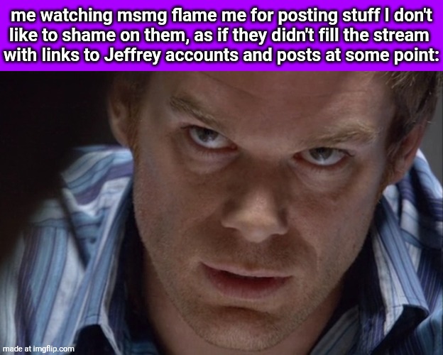 elaboration in comments | me watching msmg flame me for posting stuff I don't
like to shame on them, as if they didn't fill the stream 
with links to Jeffrey accounts and posts at some point: | image tagged in dexter angry stare | made w/ Imgflip meme maker