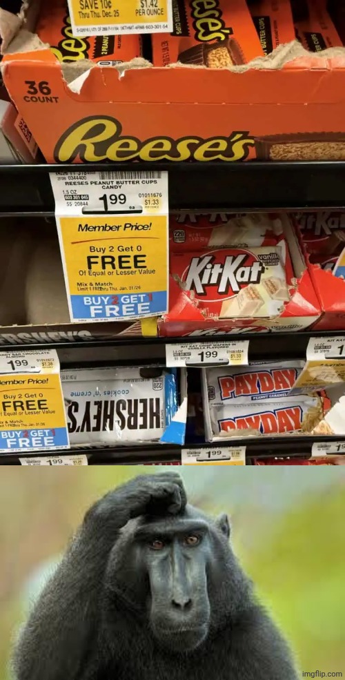 "Buy 2 get 0 free" "Buy 2 get 1 free" | image tagged in confused monkey,reese's,kitkat,hershey's,you had one job,memes | made w/ Imgflip meme maker
