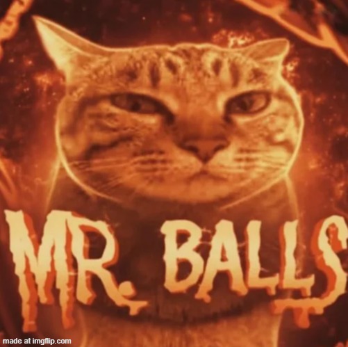 Mr. Balls | image tagged in mr balls | made w/ Imgflip meme maker