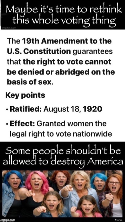 Ok... no voter ID?  Then, you must prove you have a brain | image tagged in memes,brainless mindless idiots just destroy,like angry rampaging toddlers,lefty needs to kissmyass,u godless freaks | made w/ Imgflip meme maker