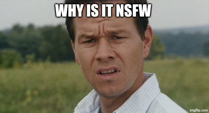 Mark Wahlburg confused | WHY IS IT NSFW | image tagged in mark wahlburg confused | made w/ Imgflip meme maker