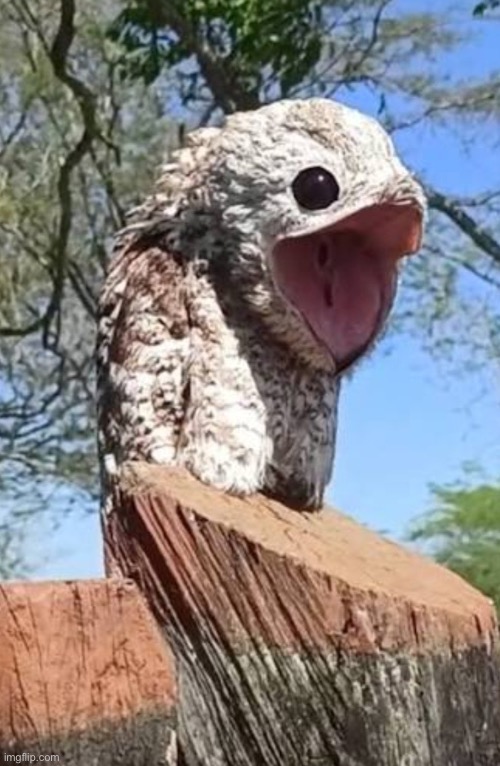 The void… | made w/ Imgflip meme maker