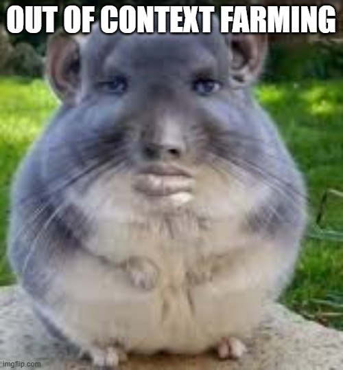 Disappointed Chinchilla | OUT OF CONTEXT FARMING | image tagged in disappointed chinchilla | made w/ Imgflip meme maker