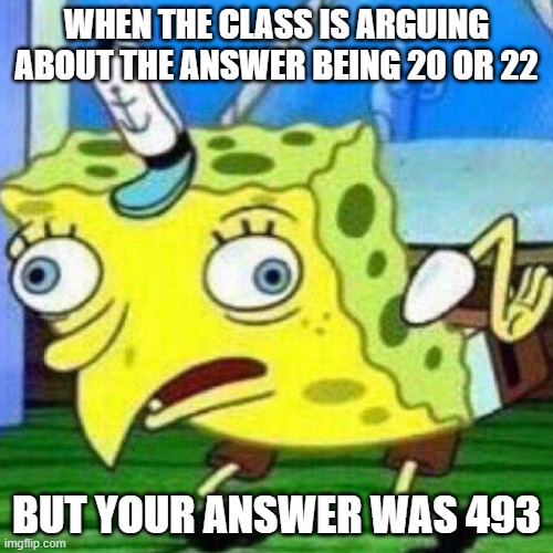 493 | WHEN THE CLASS IS ARGUING ABOUT THE ANSWER BEING 20 OR 22; BUT YOUR ANSWER WAS 493 | image tagged in triggerpaul | made w/ Imgflip meme maker