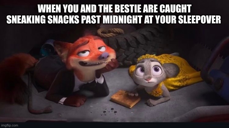 Sleepover | WHEN YOU AND THE BESTIE ARE CAUGHT SNEAKING SNACKS PAST MIDNIGHT AT YOUR SLEEPOVER | image tagged in zootopia,friends | made w/ Imgflip meme maker