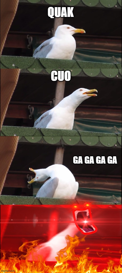 Inhaling Seagull | QUAK; CUO; GA GA GA GA | image tagged in memes,inhaling seagull | made w/ Imgflip meme maker