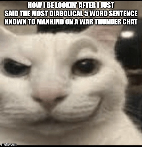 War thunder chat | HOW I BE LOOKIN' AFTER I JUST SAID THE MOST DIABOLICAL 5 WORD SENTENCE KNOWN TO MANKIND ON A WAR THUNDER CHAT | image tagged in cat raising eyebrow | made w/ Imgflip meme maker