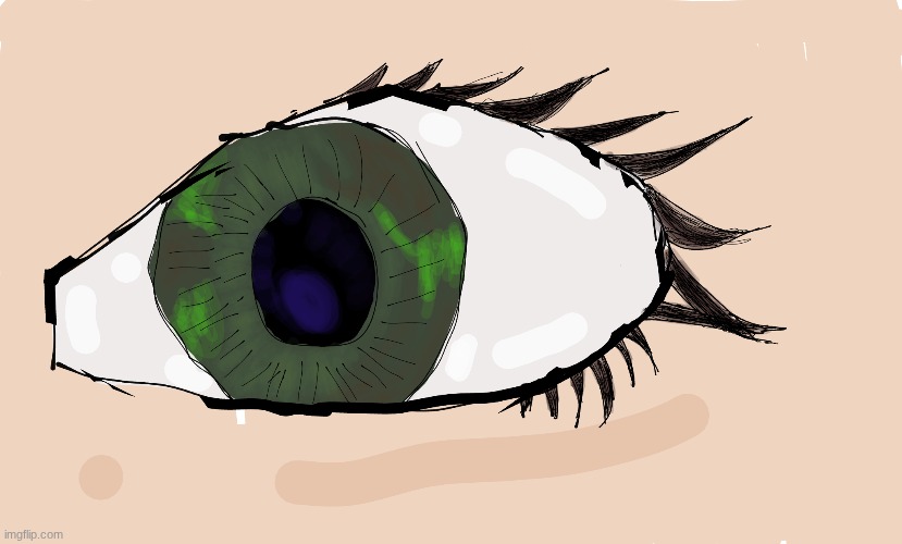 my eye | image tagged in meme | made w/ Imgflip meme maker